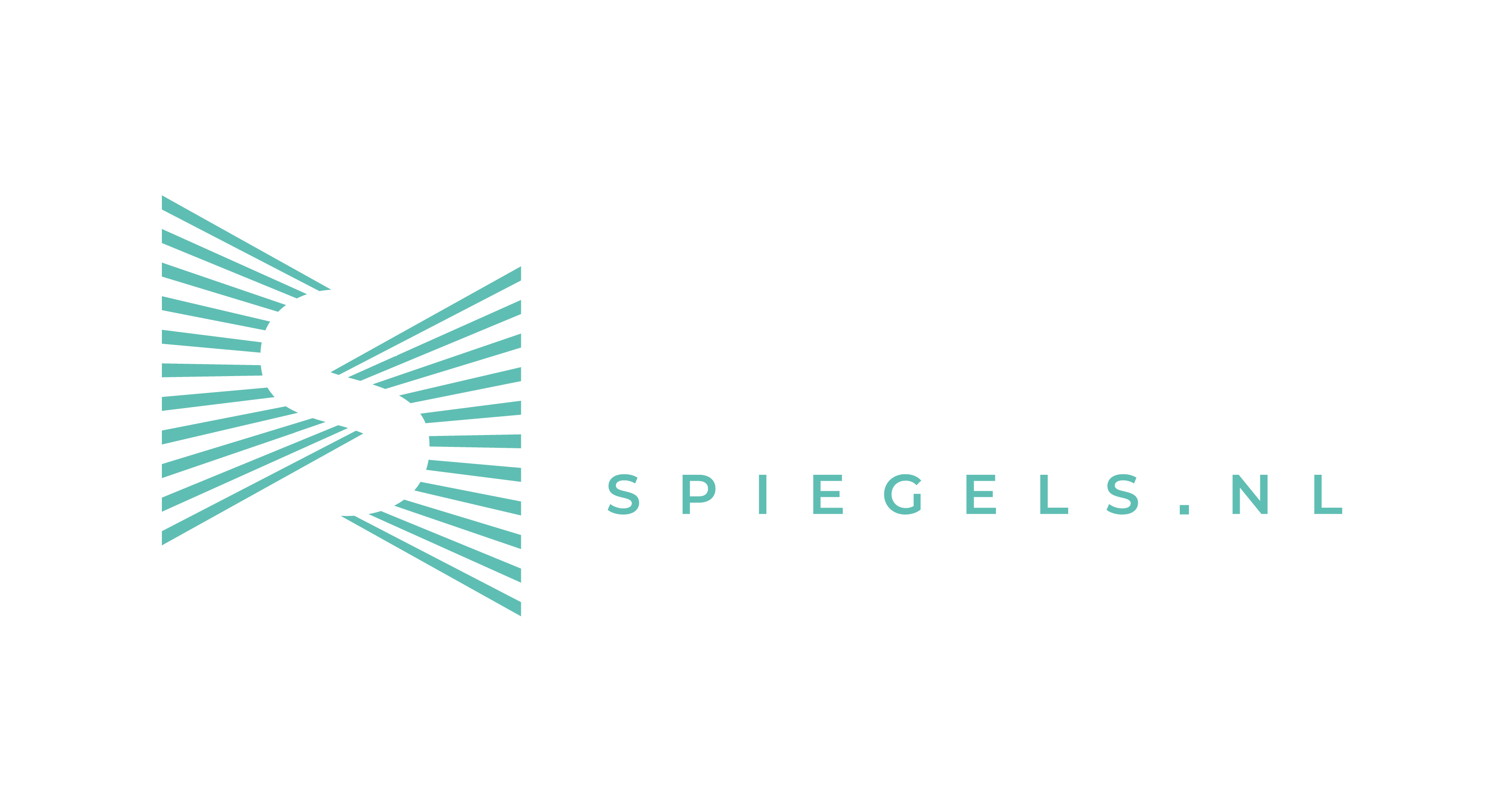 Sanitairspiegels.nl
